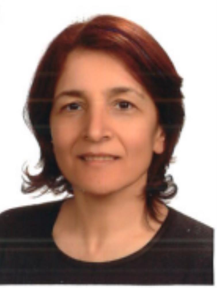 Prof. Dr.  Feruze YILMAZ