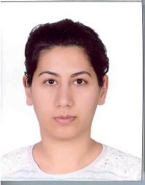 Dr. Öğr. Üyesi Serpil ÜSTEBAY
