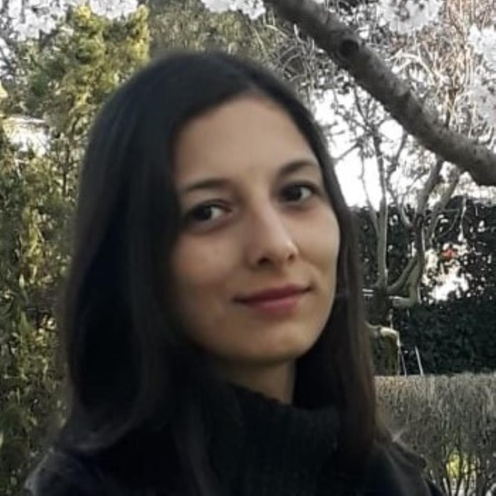 Arş. Gör.  Burcu KARAARSLAN
