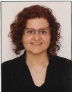 Prof. Dr.  Sertaç ARSLANOĞLU