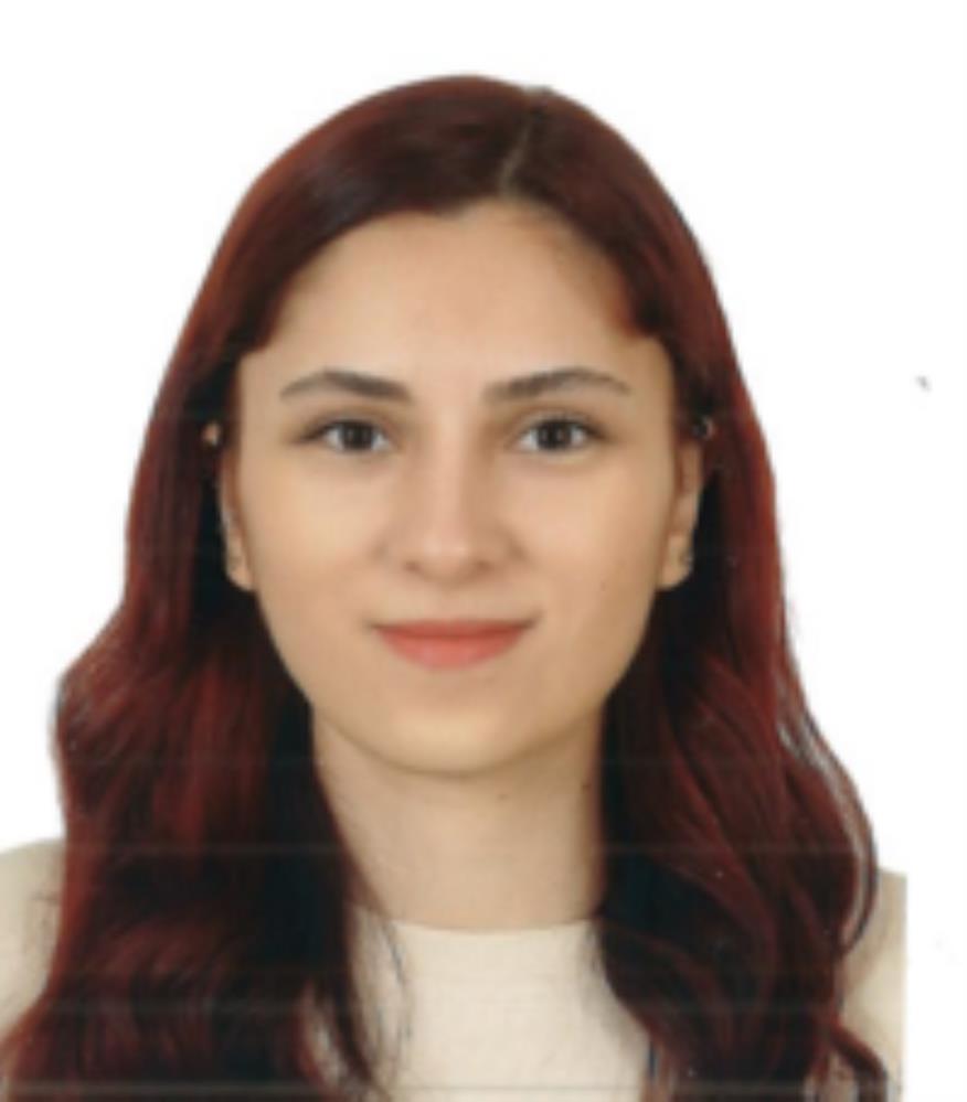 Arş. Gör.  İrem TALAŞLI
