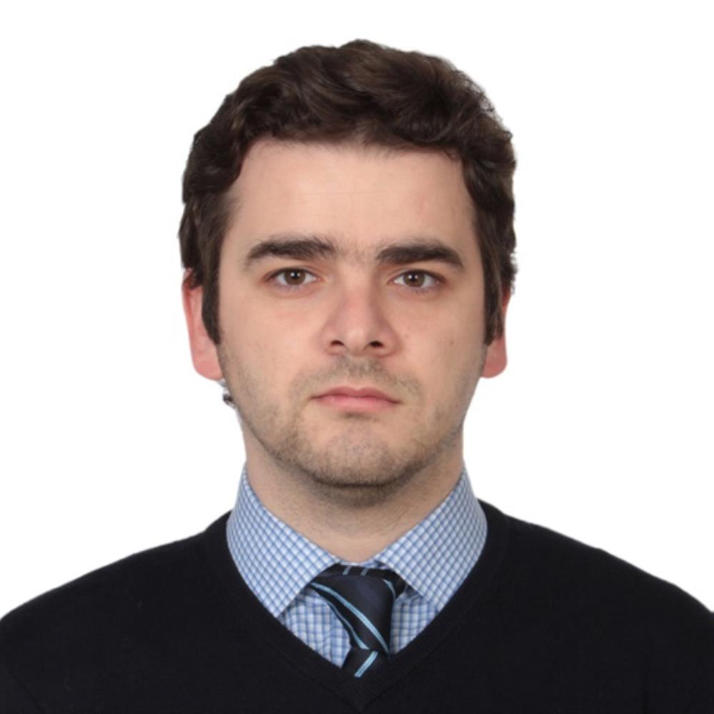Dr. Öğr. Üyesi Sinan ATAER