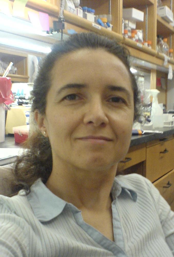 Prof. Dr.  Işın Nergiz GEREN