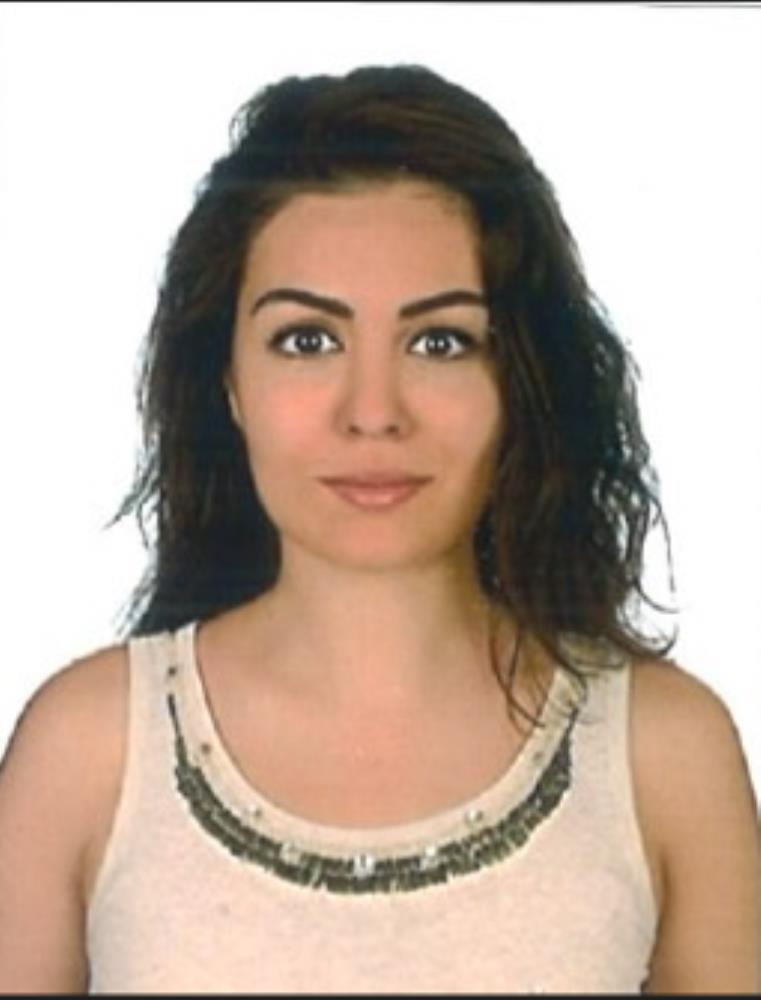 Dr. Öğr. Üyesi Elif DİNÇSES NAS