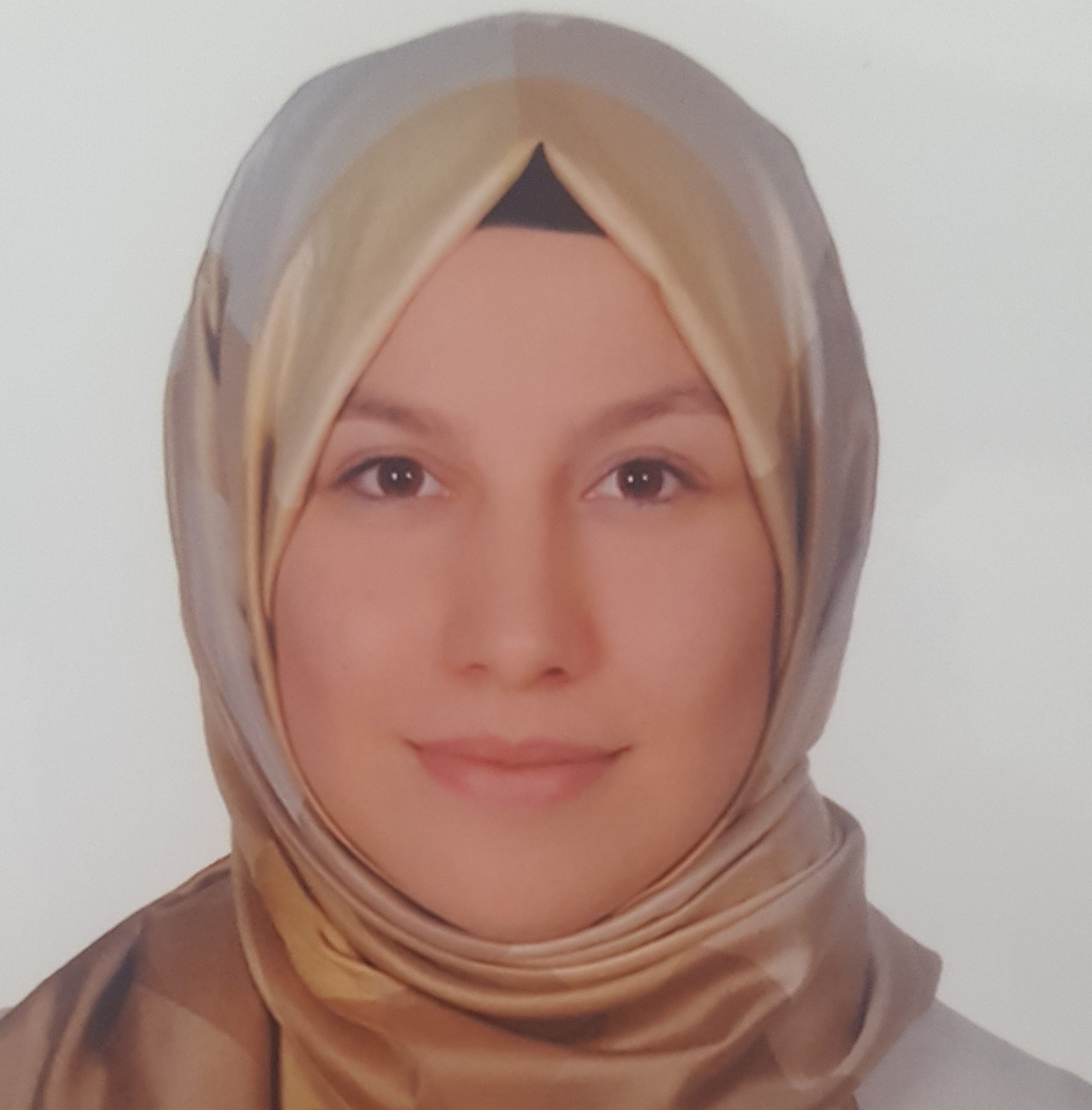 Arş. Gör.  Zeynep Binnur DEMİRCİ