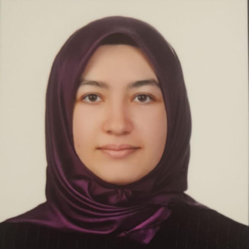 Arş. Gör.  Elanur ARMAN
