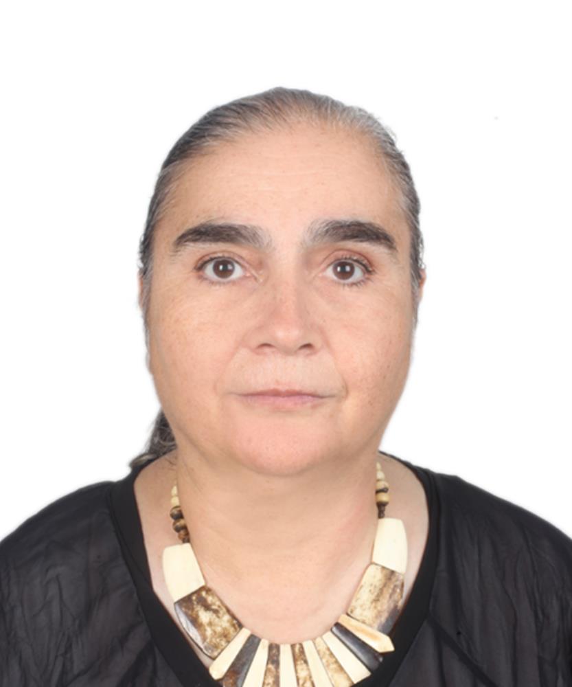 Prof. Dr.  Yıldız AKSOY