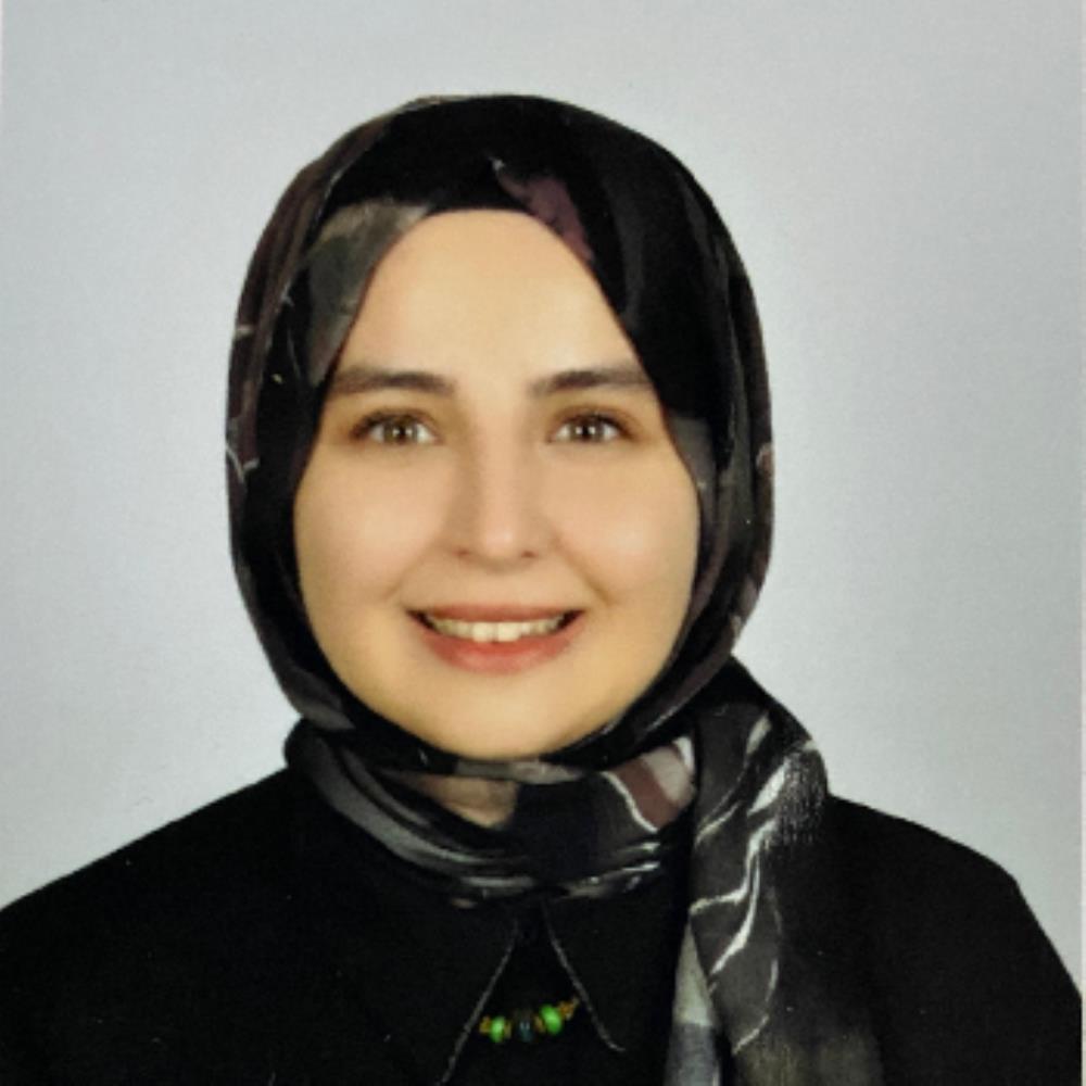Arş. Gör.  Hülya GÜMÜŞ