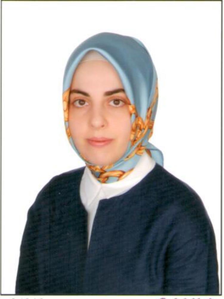 Öğr. Gör.  Merve TEKİN GÜRBÜZ